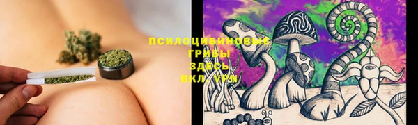 PSILOCYBIN Алексин