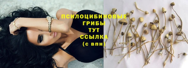 PSILOCYBIN Алексин