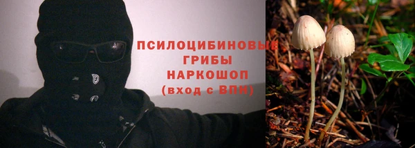 PSILOCYBIN Алексеевка