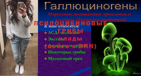 соль курить ск Алзамай