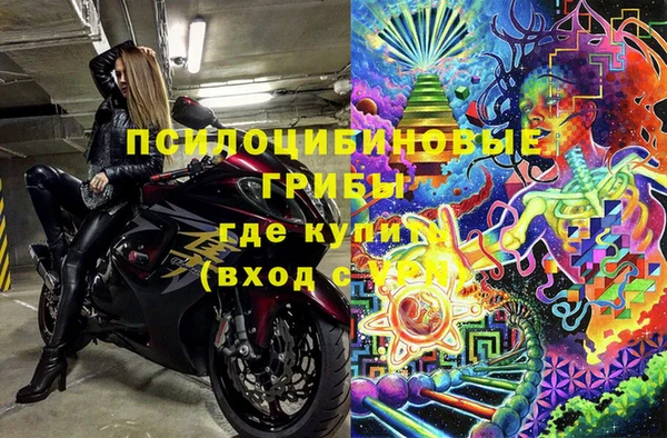 PSILOCYBIN Алексеевка