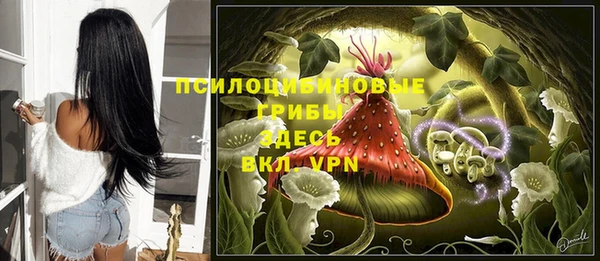 соль курить ск Алзамай