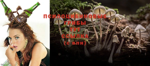 PSILOCYBIN Алексеевка