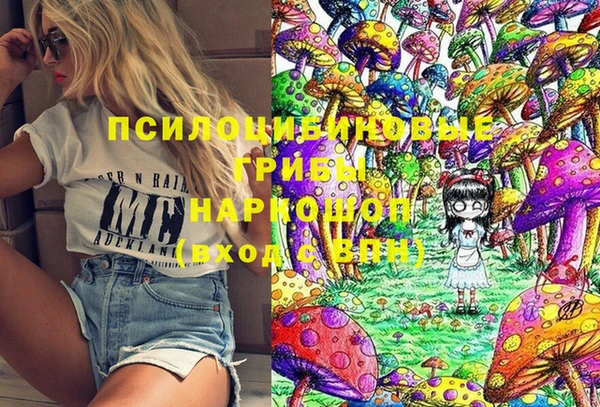PSILOCYBIN Алексин