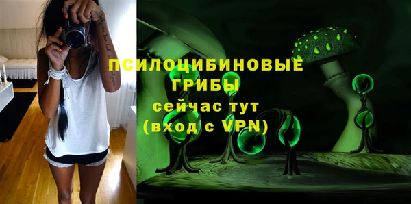 PSILOCYBIN Алексин